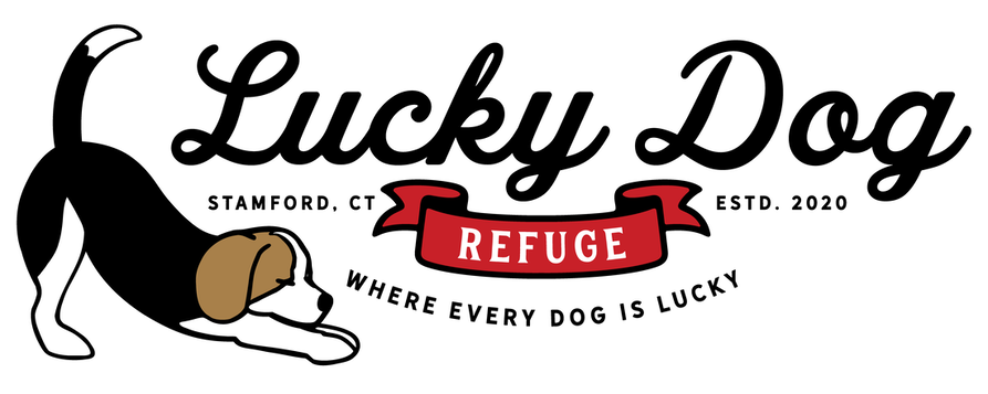 Lucky Dog Refuge